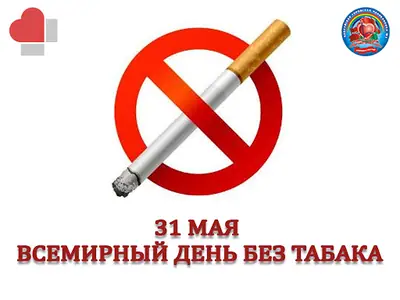 Изображение 1 из 7