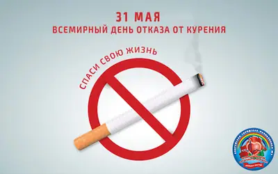 Изображение 2 из 7