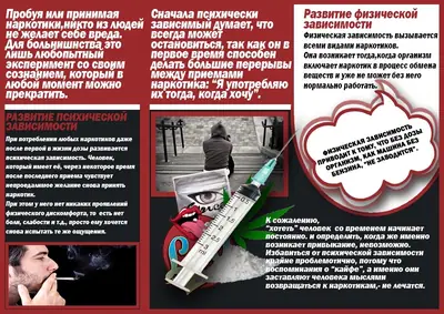 Изображение 4 из 4